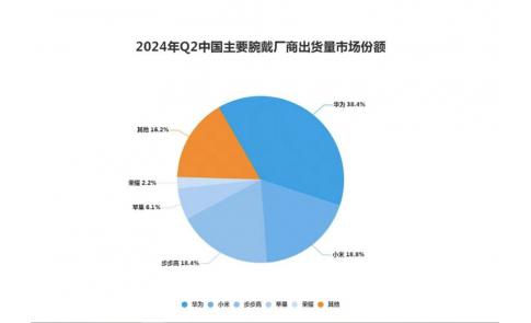 【洞察】2024年全球&中国主要腕戴厂商出货量市场份额